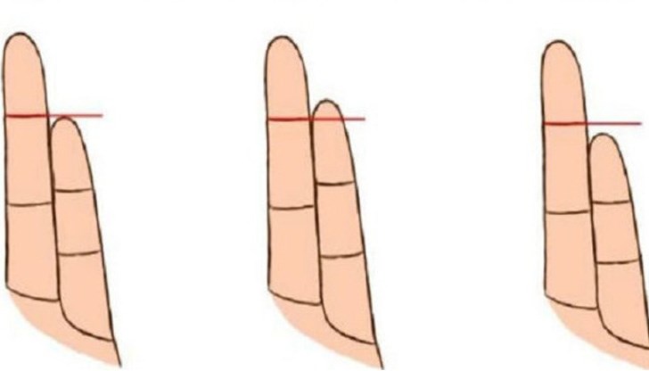 Можем да научим много за човек по размера на пръстите му