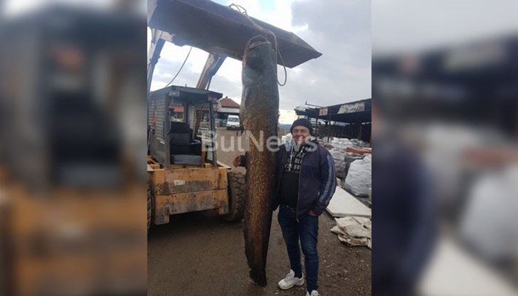 Битката с 2.40-метровата риба продължила 1 час