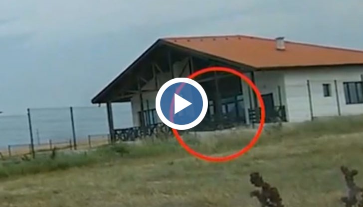 Схемата "невидимите овце" е доста разпространена в страната