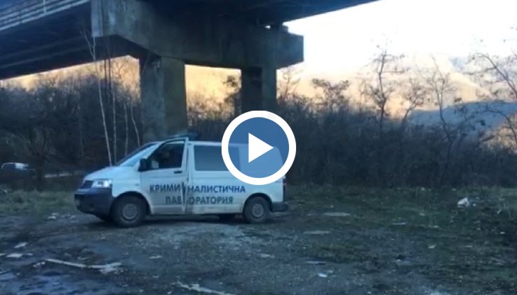 Тя е правила опит за селфи