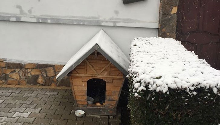 Русенка постави къщичка за кучета пред дома си