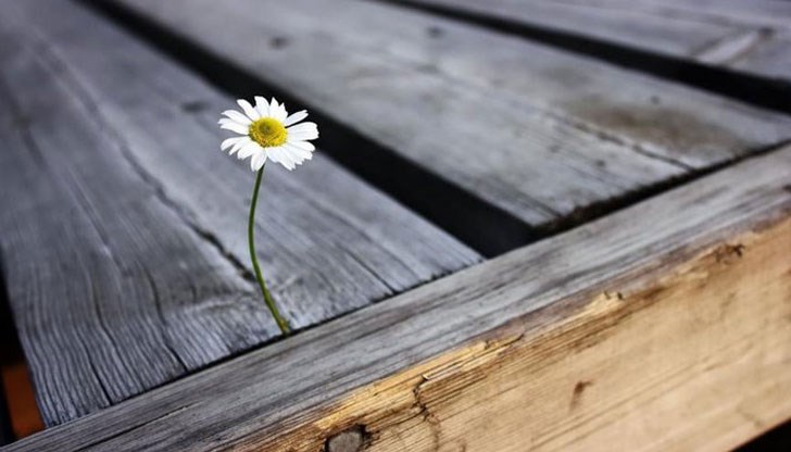 Ако през лунния месец сте помагали на хората, подкрепяли сте ги, изслушвали сте ги, то сега ще бъдете добре възнаградени
