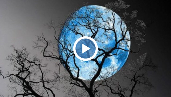 Кога ще има Синя луна и метеорен дъжд?