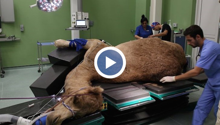 Болницата е оборудвана със съвременни операционни зали и с най-модерната медицинска техника