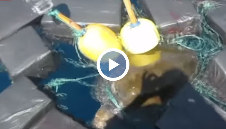 Прогнозната стойност на наркотика е 53 милиона долара