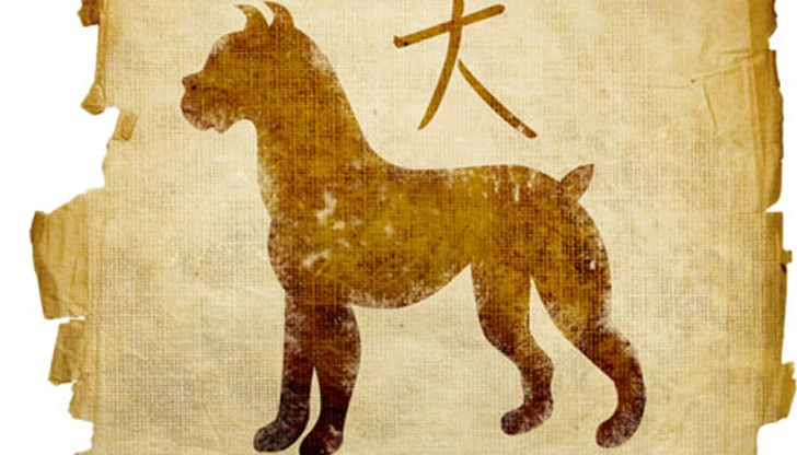Според Източния календар 2018-та е година на Жълтото земно куче