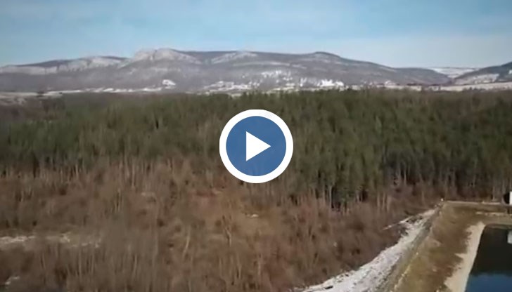 Незаконна сеч по роднински в Ловеч