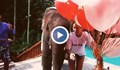 Слон поздрави рожденичката Олга