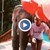 Слон поздрави рожденичката Олга