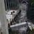 10 души загинаха при срутването на мост в Колумбия