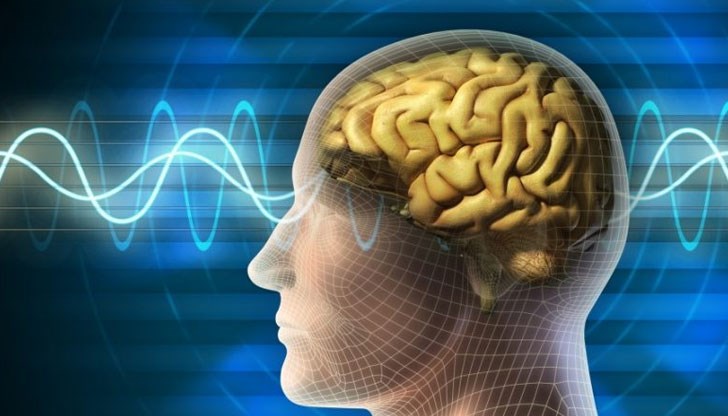 В човешкия мозък функционира безжичен скенер на човешките емоции, чиито принцип на действие прилича на wi-fi
