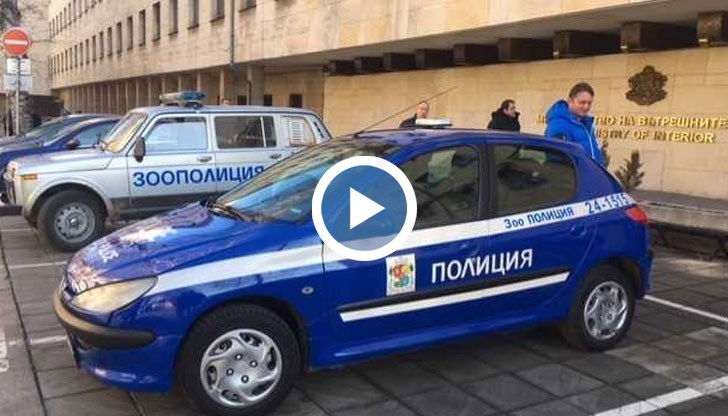 433-ма зоополицаи ще патрулират в населените места