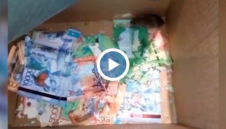 Гризачите са унищожили 250 евро