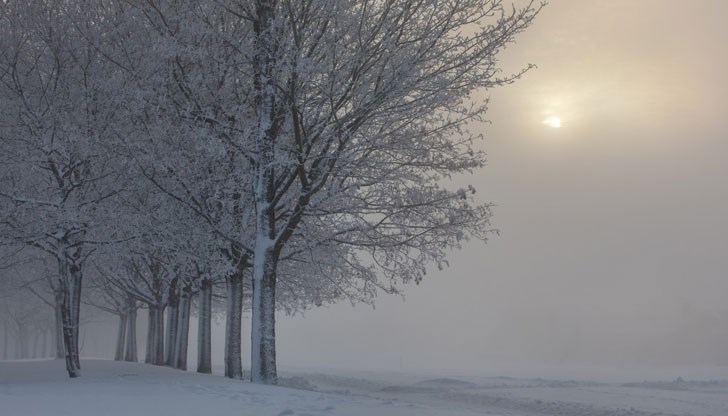 Сутринта в западните райони на Дунавската равнина ще се образува мъгла
