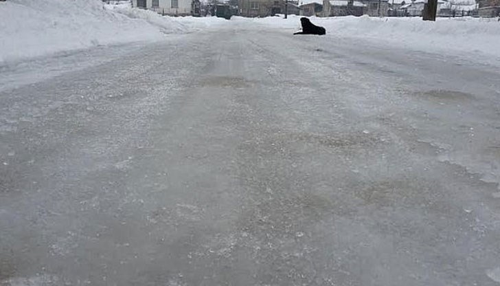 Дъждът спира тока, превръща улиците в пързалки, събаря дървета