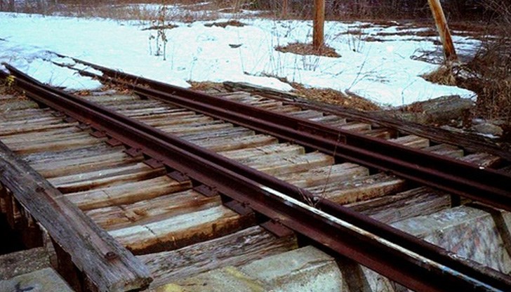 Каруцата е била натоварена с крадени дърва, но без "шофьор" Каруцата е била натоварена с крадени дърва, но без "шофьор"