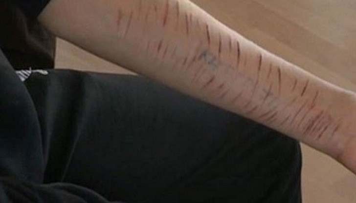 В мрежата са се появили нови хаштази  - #сованикогданеспит и #тихий лес