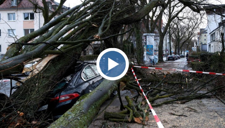 Много от загиналите в Холандия и Германия са били ударени от падащи дървета и отломки