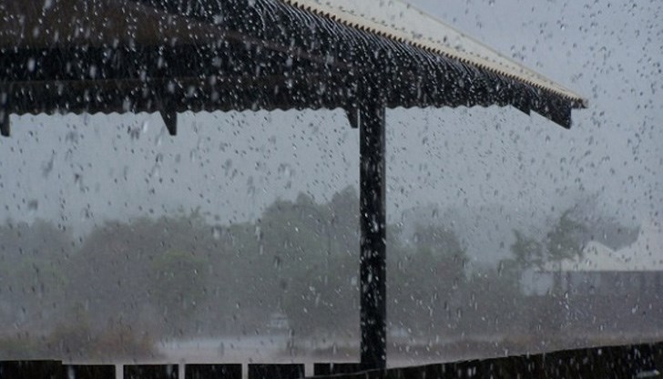 Анастасия Стойчева обясни разликата между леден дъжд и поледица Анастасия Стойчева обясни разликата между леден дъжд и поледица