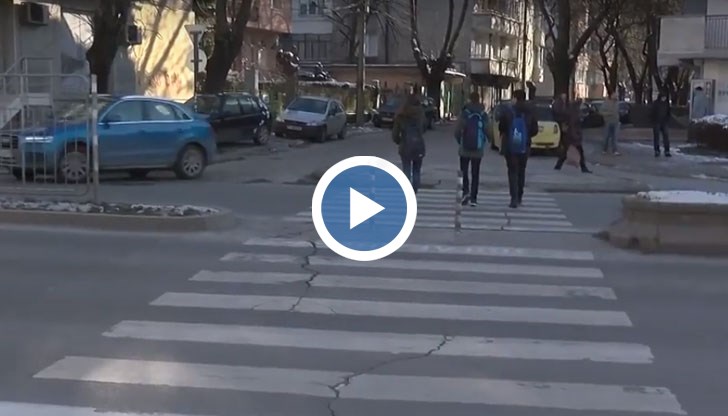 Класацията на опасните зебри в града според русенци