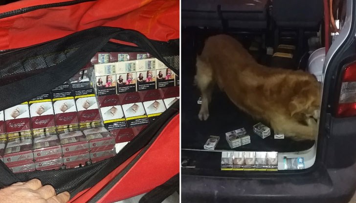 Специално обученотото куче надуши голямо количество контрабандни цигари