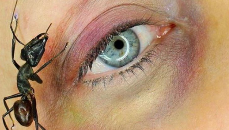 Бръмбари и паяци са най-новият хит в макияжа