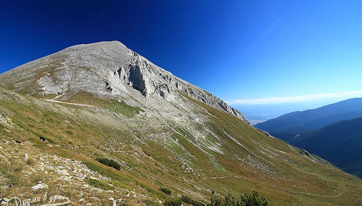 Инцидентът е станал около 5.00 часа тази сутрин Инцидентът е станал около 5.00 часа тази сутрин