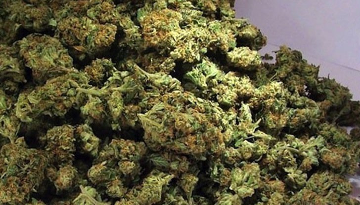 Наркотикът е бил намерен при проверката на ТИР, влязъл от ГКПП „Капитан Андреево”