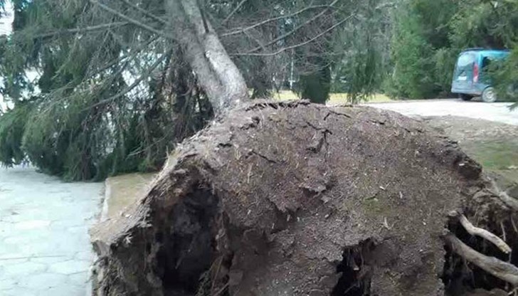 Директорите на учебните заведения са предупредени да не пускат децата навън