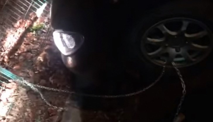 Тарикат пробвал да спести таксата за паркинг, но после съжалил Тарикат пробвал да спести таксата за паркинг, но после съжалил