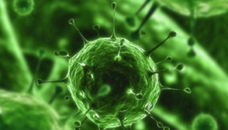 Учени намериха прост и ефикасен метод за борба с рака Учени намериха прост и ефикасен метод за борба с рака