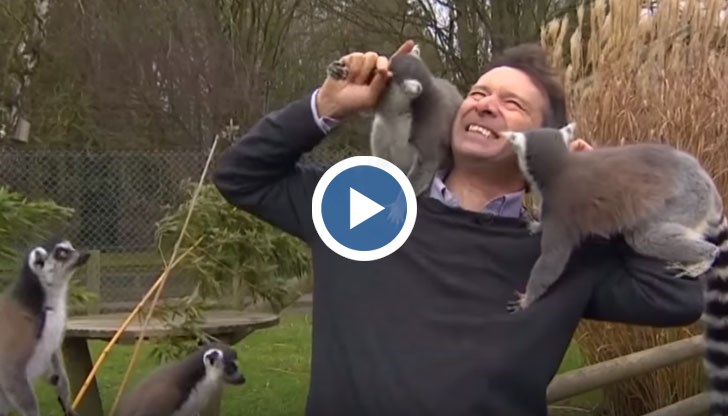 Видео от комичния инцидент се превърна в сензация в мрежата