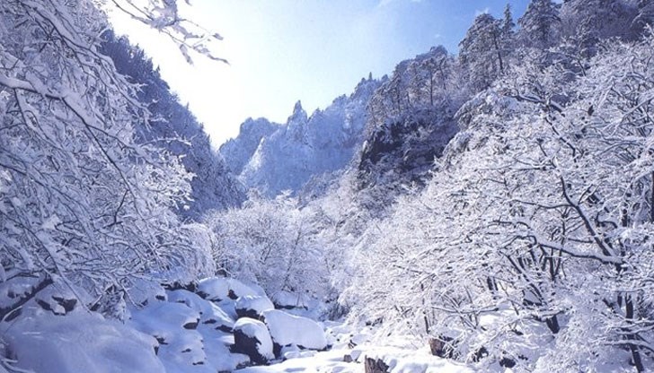 В цялата страна в понеделник е в сила предупреждение за валежи и силен вятър