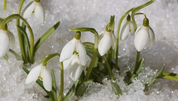 На всички именици – честито! На всички именици – честито!