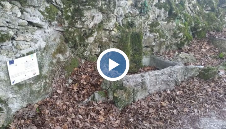 Освен европари, никога не е текло нищо друго