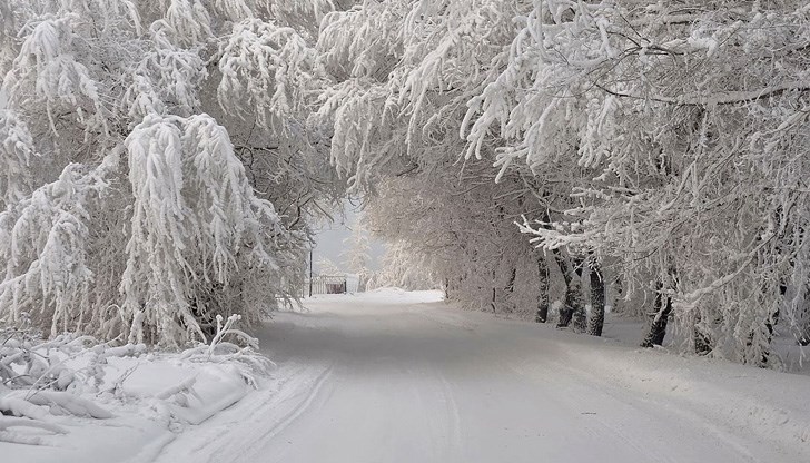 В неделя и нощта срещу понеделник на много места ще вали сняг В неделя и нощта срещу понеделник на много места ще вали сняг