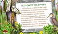Русенски ученици с призови места в конкурсите за Световния ден на влажните зони