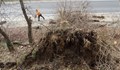 Вятърът събори топола върху Е-79 край Благоевград