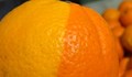Полубоядисани портокали изумиха клиенти на столичен супермаркет