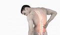 Дефицитът на витамини причинява болки в гърба и ставите