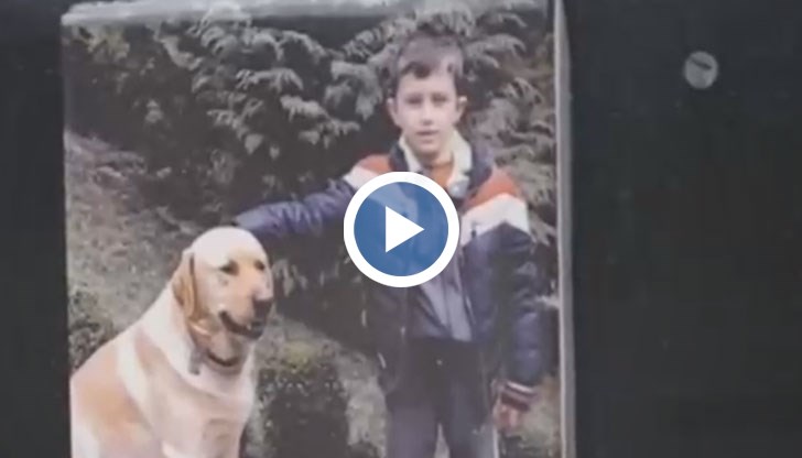 Пъков постоянно си бил у дома и се „разкарвал” из града