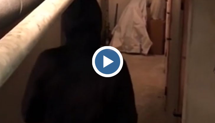 Безграничен черен пазар на фалшиви самоличности, дрога и убийства