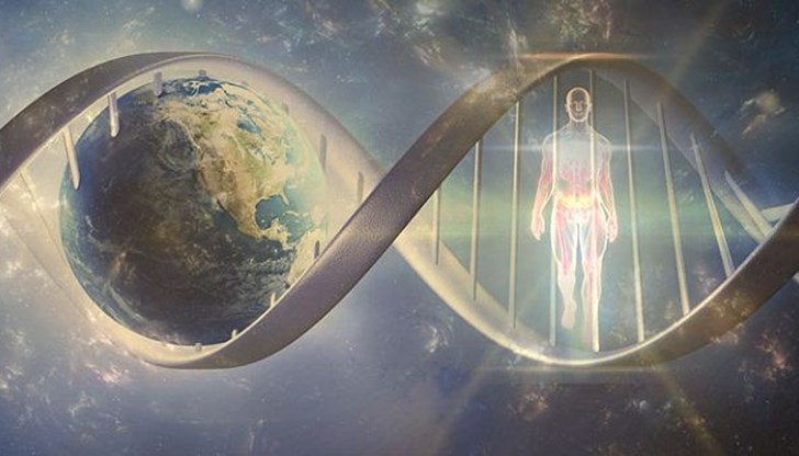 Науката е открила гена, който отговаря за стараеенето