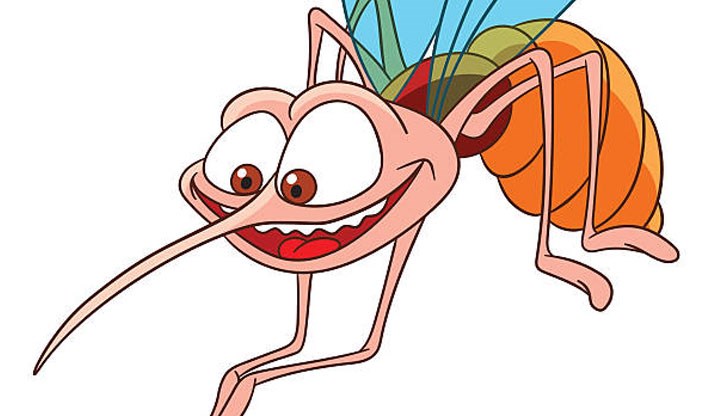 Же сюи юн комар Же сюи юн комар