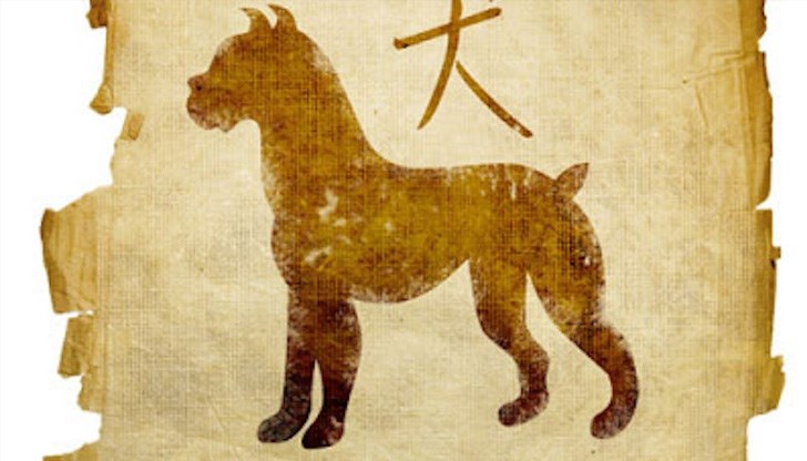 За осми път китайският календар влиза в благотворително събитие в Русе За осми път китайският календар влиза в благотворително събитие в Русе