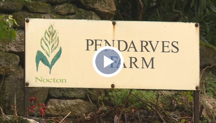 В "Пендарвс" работят над сто българи