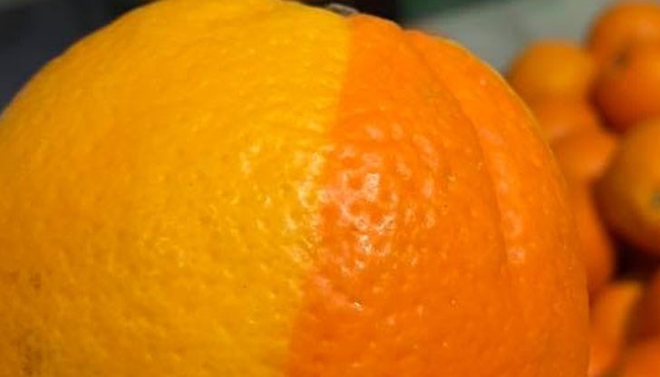 Горките, боята за този портокал им е свършила, коментират потребители