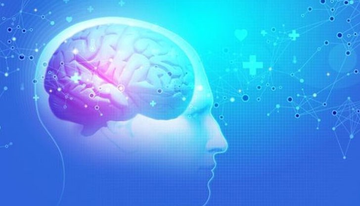 Мозъкът се влияе от невероятно много фактори