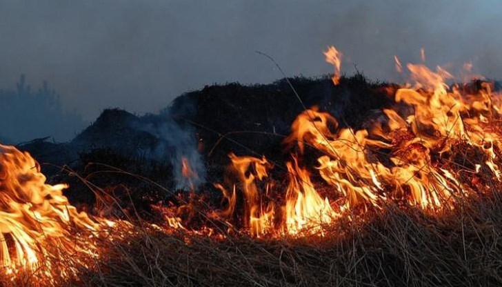 Горенето е възникнало при запалване на суха трева Горенето е възникнало при запалване на суха трева