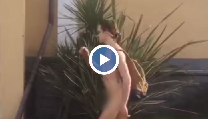 Младият мъж си върви най-спокойно по пътя само по раница и слънчеви очила